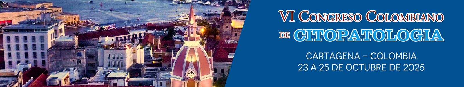 CONGRESO CITO CONGRESO CITO