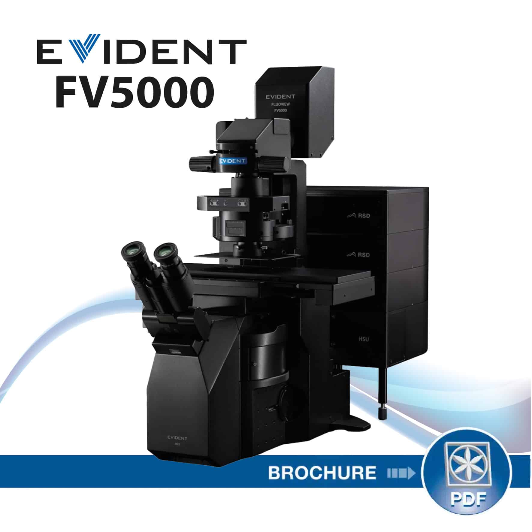 FV5000